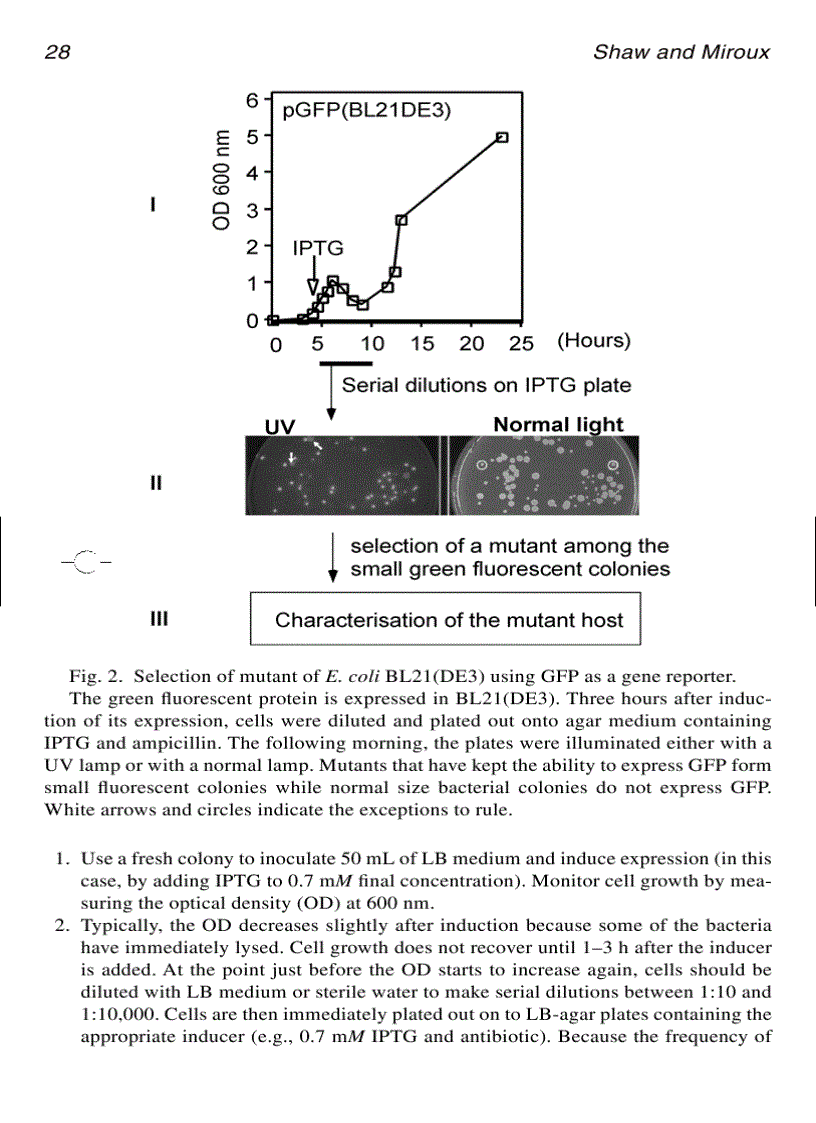 image for page Membrane Protein Protocols