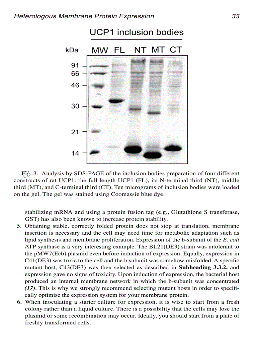 image for page Membrane Protein Protocols