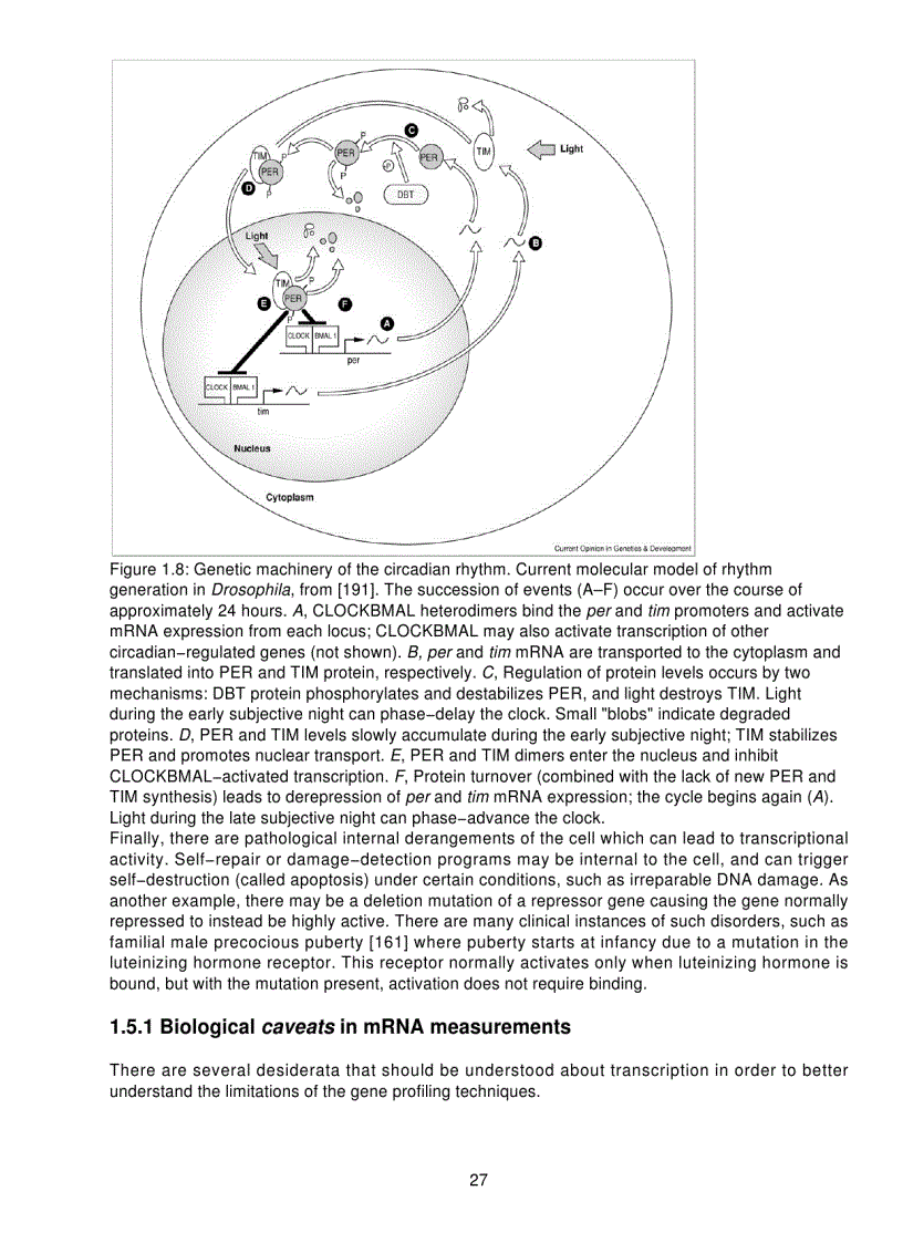 image for page Microarrays for an Integrative Genomics Computational Molecular Biology