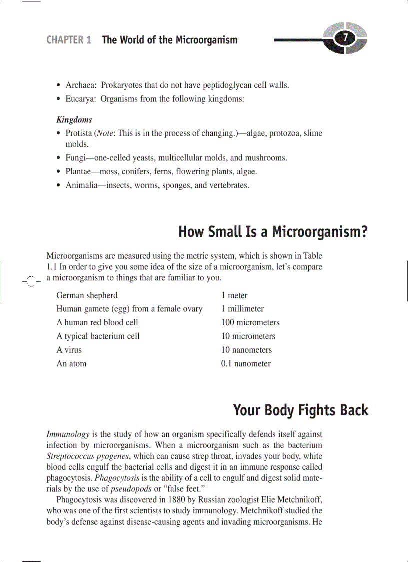image for page Microbiology Demystified