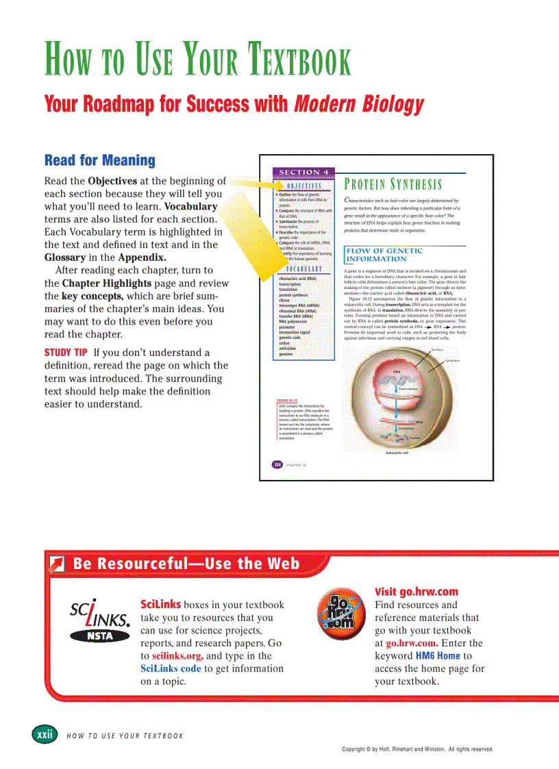 image for page Modern Biology