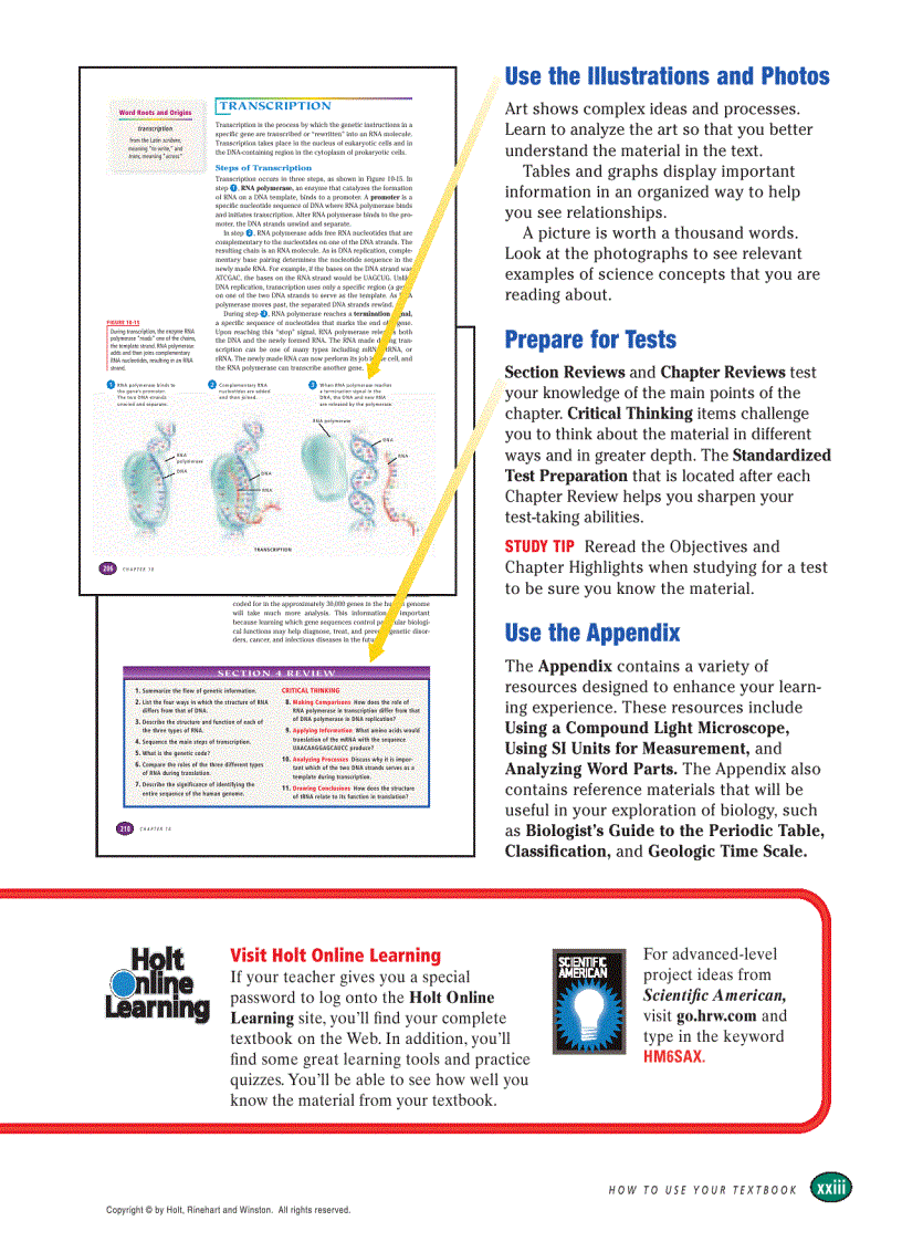 image for page Modern Biology