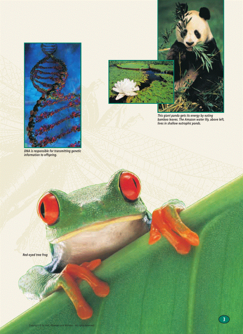 image for page Modern Biology