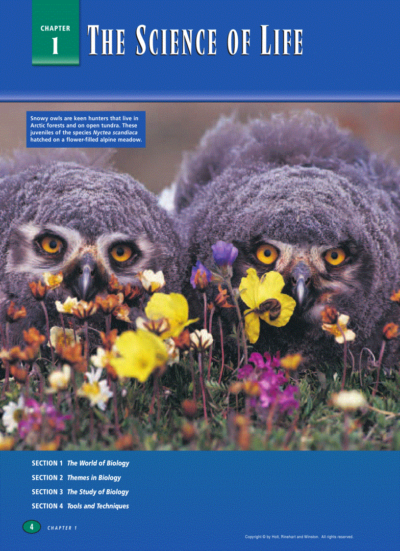 image for page Modern Biology