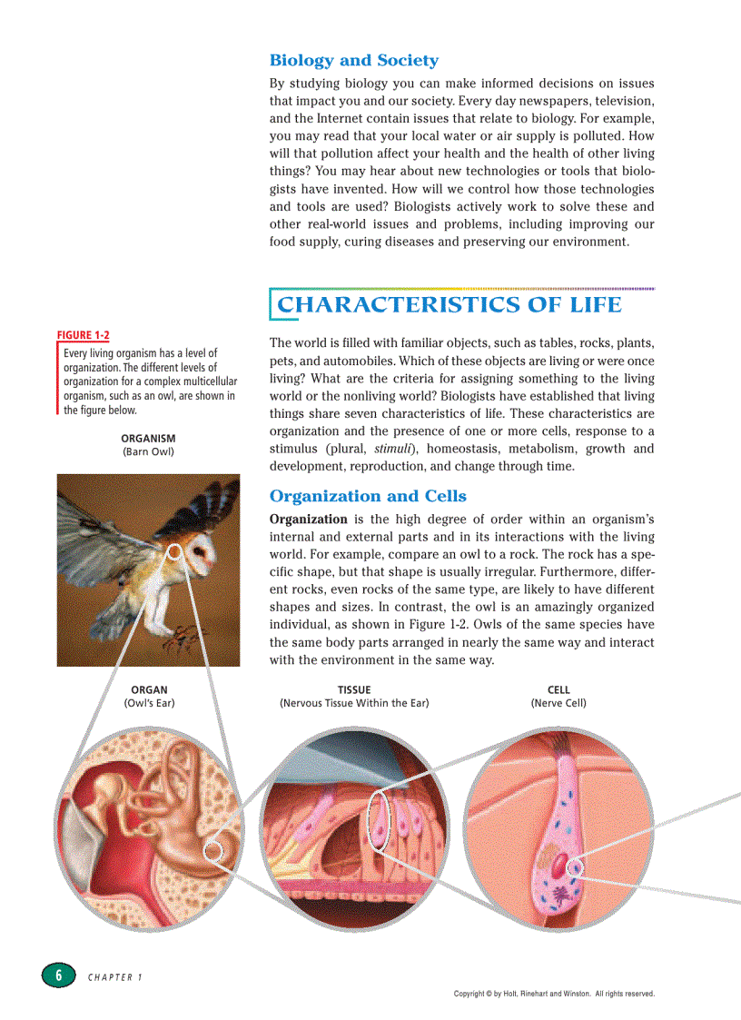 image for page Modern Biology