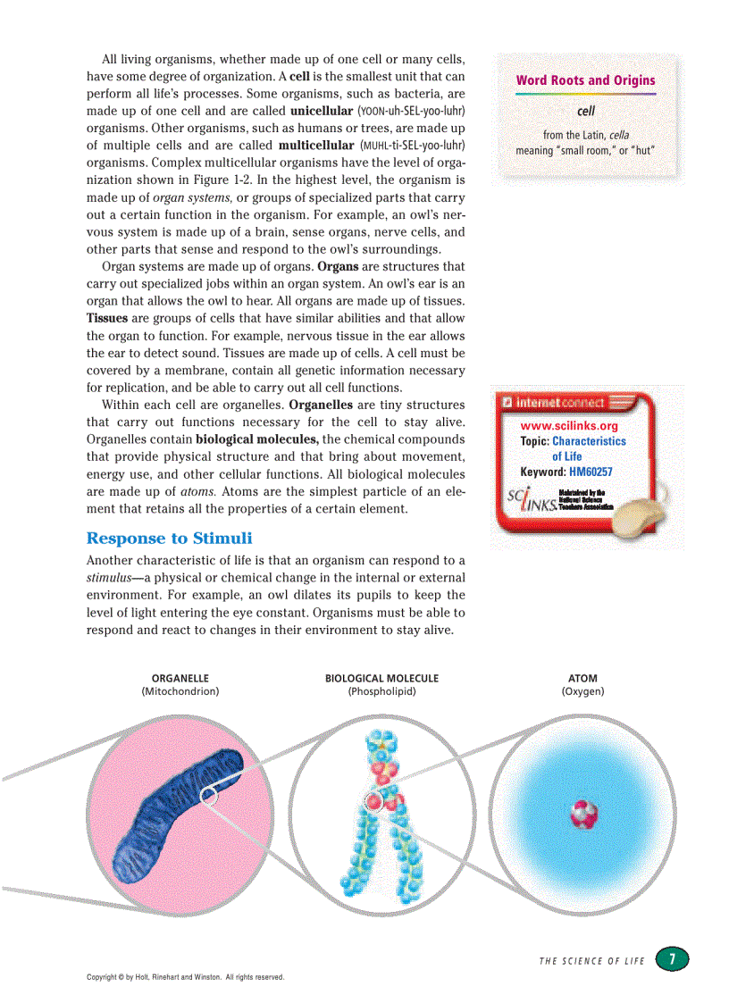 image for page Modern Biology