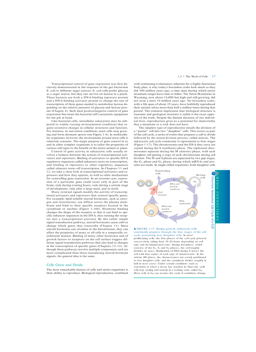 image for page Molecular Cell Biology 5th Eition