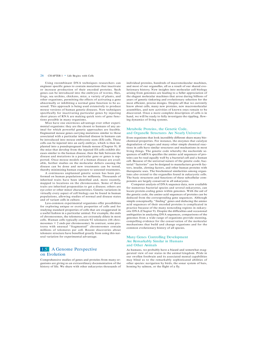 image for page Molecular Cell Biology 5th Eition