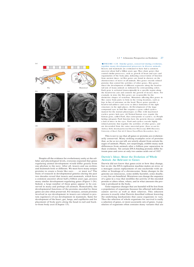 image for page Molecular Cell Biology 5th Eition