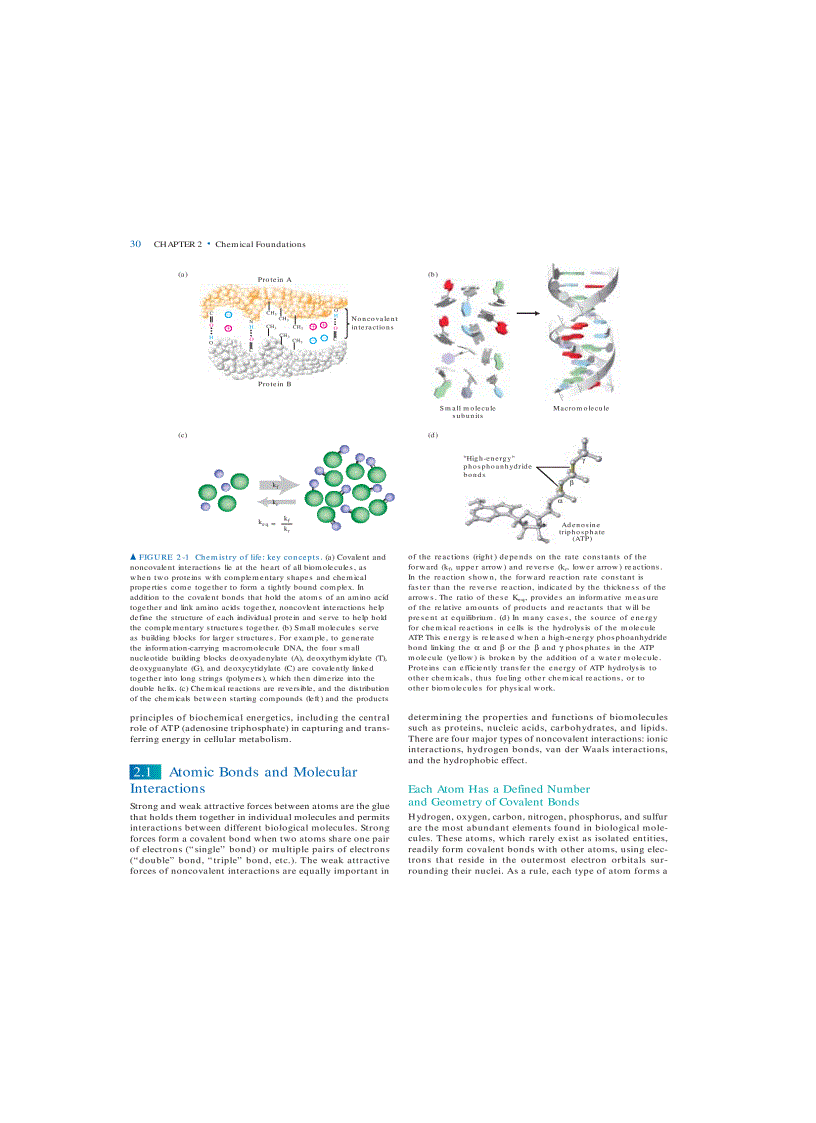 image for page Molecular Cell Biology 5th Eition