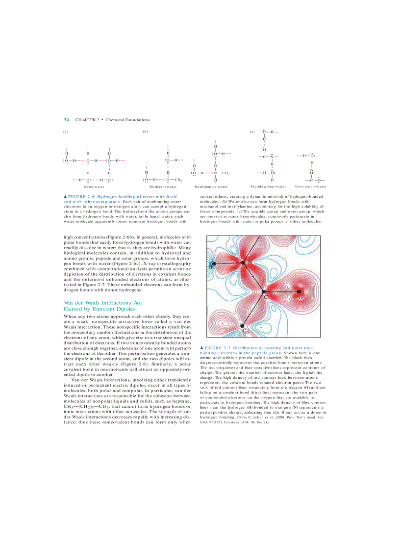 image for page Molecular Cell Biology 5th Eition
