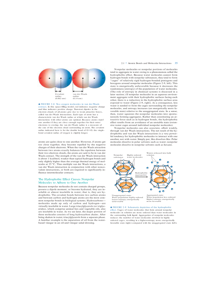 image for page Molecular Cell Biology 5th Eition