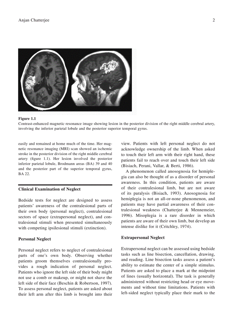 image for page Neurological Foundations of Cognitive Neuroscience