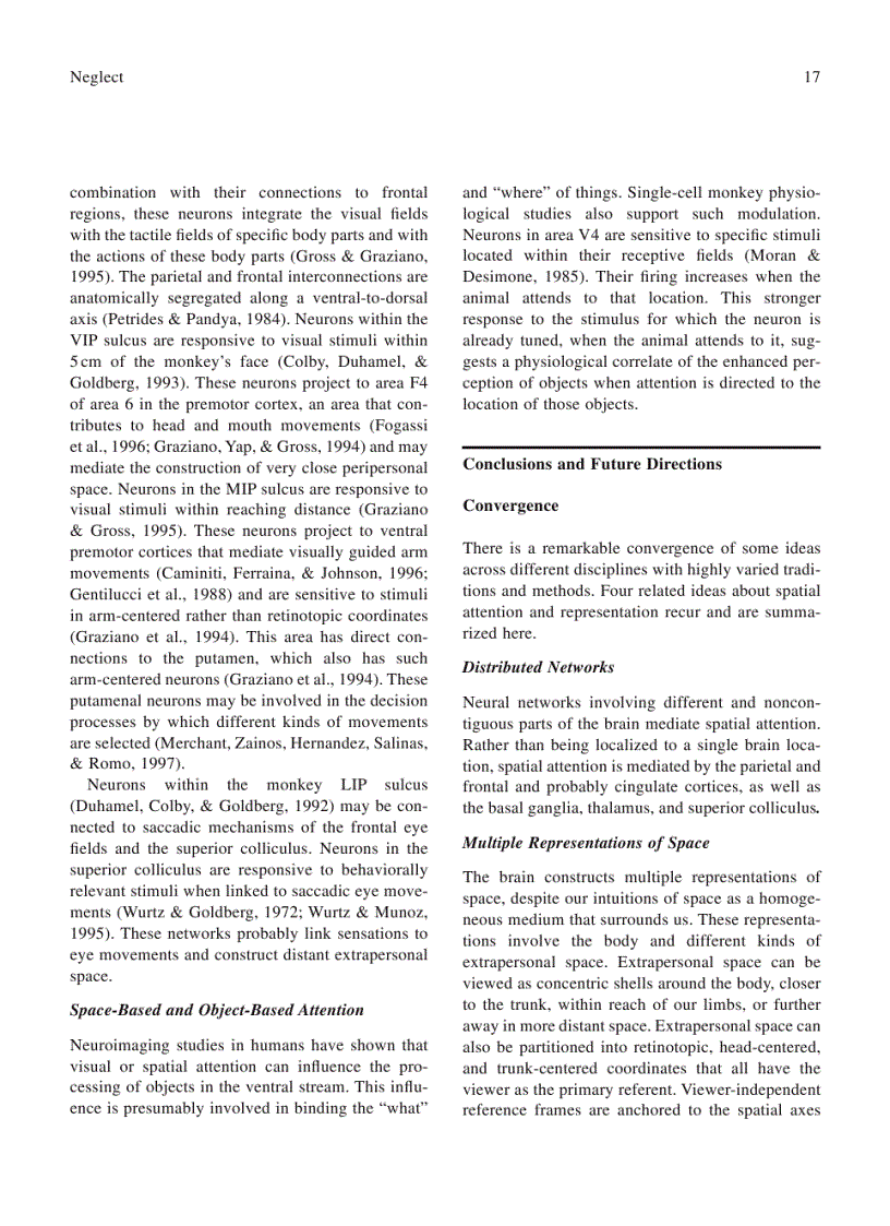 image for page Neurological Foundations of Cognitive Neuroscience