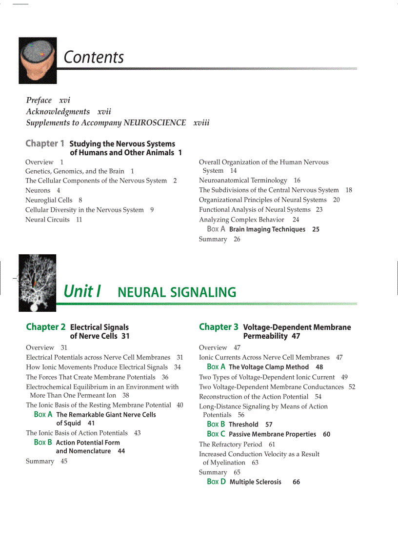 image for page Neuroscience 3ed