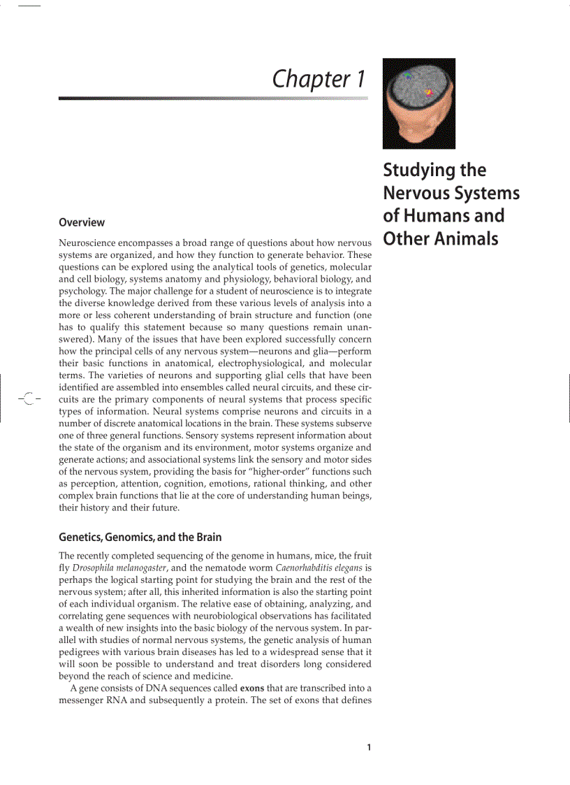 image for page Neuroscience 3ed