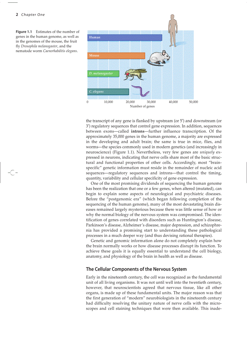 image for page Neuroscience 3ed