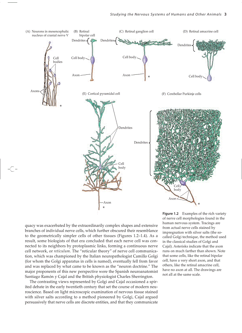 image for page Neuroscience 3ed
