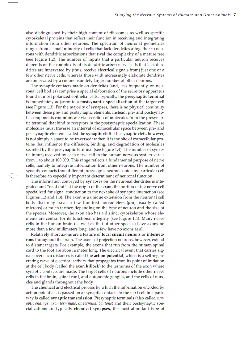 image for page Neuroscience 3ed