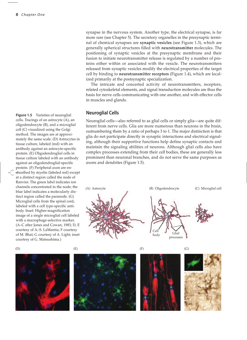image for page Neuroscience 3ed