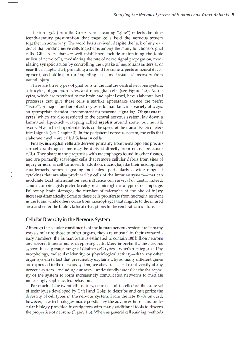 image for page Neuroscience 3ed