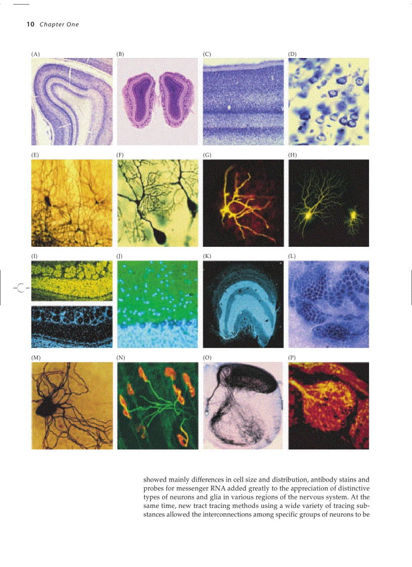image for page Neuroscience 3ed