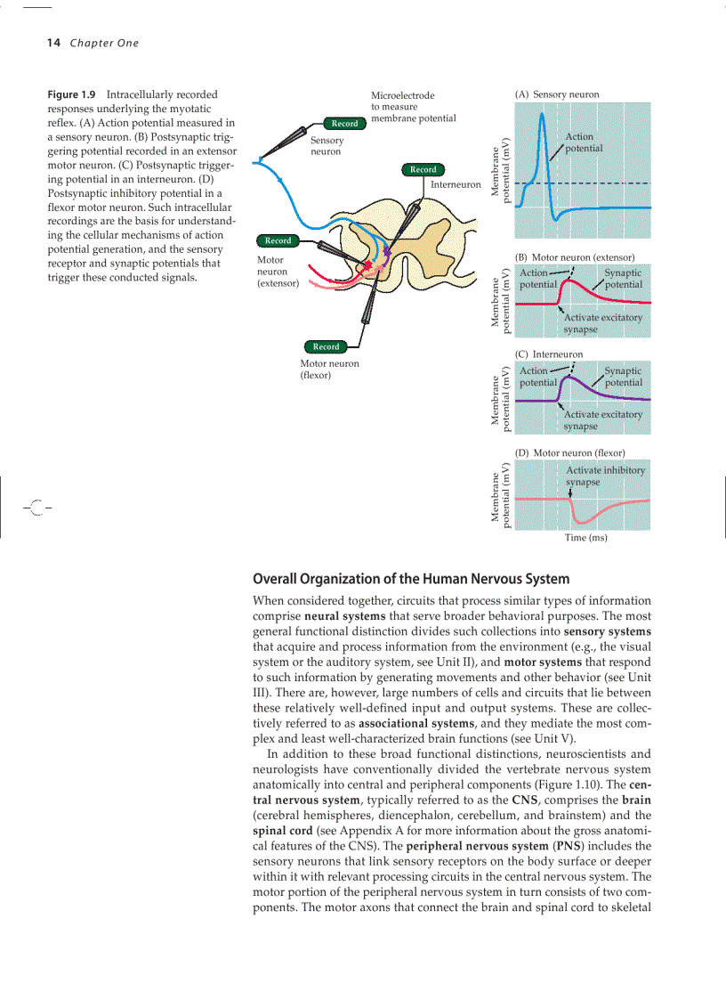 image for page Neuroscience 3ed