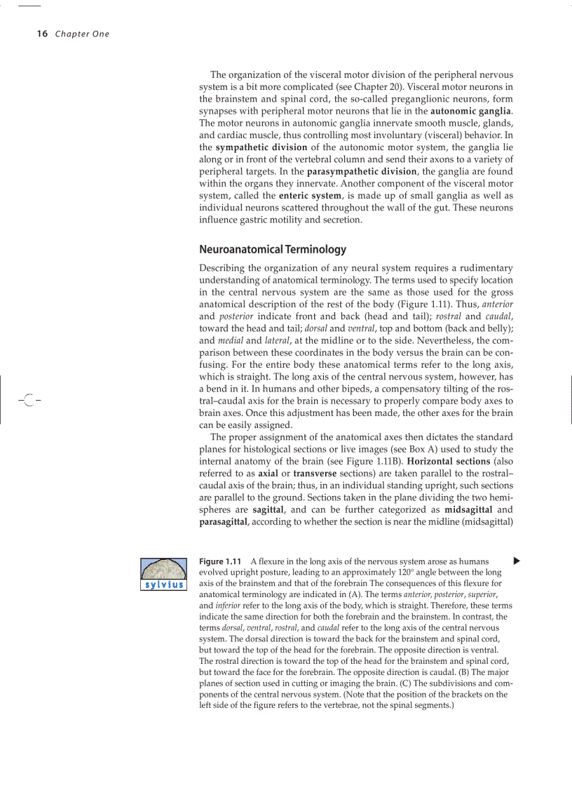 image for page Neuroscience 3ed