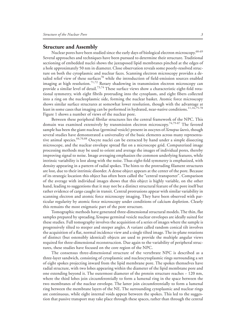 image for page Nuclear Import and Export in Plants and Animals