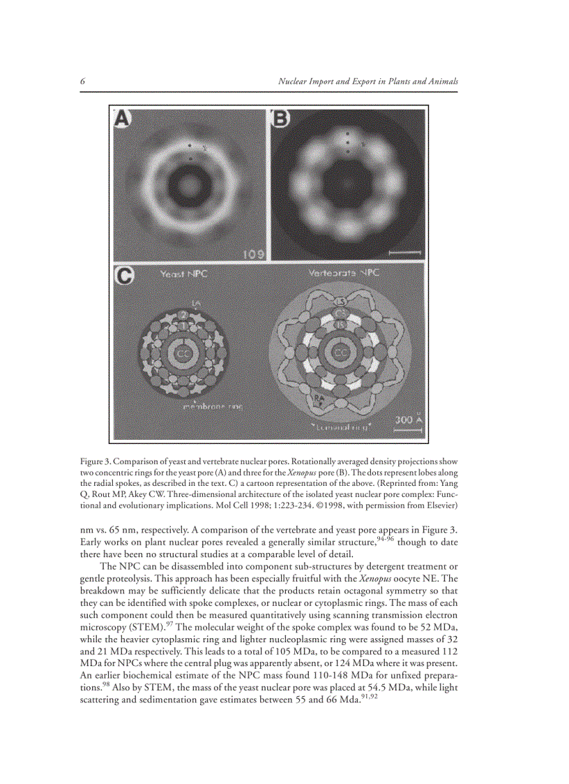 image for page Nuclear Import and Export in Plants and Animals