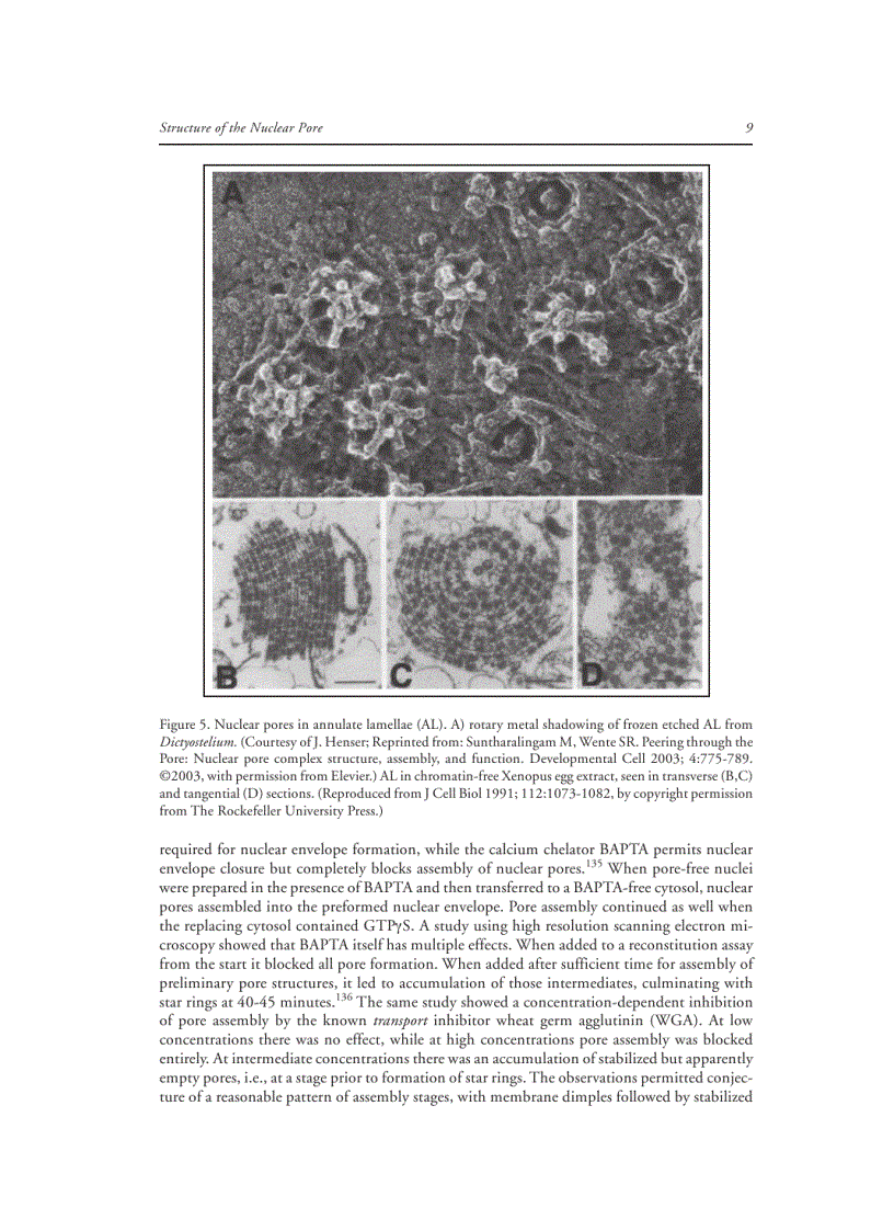 image for page Nuclear Import and Export in Plants and Animals