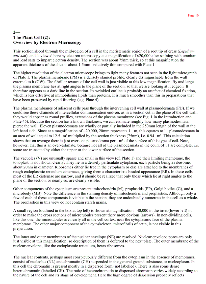 image for page Plant Cell Biology