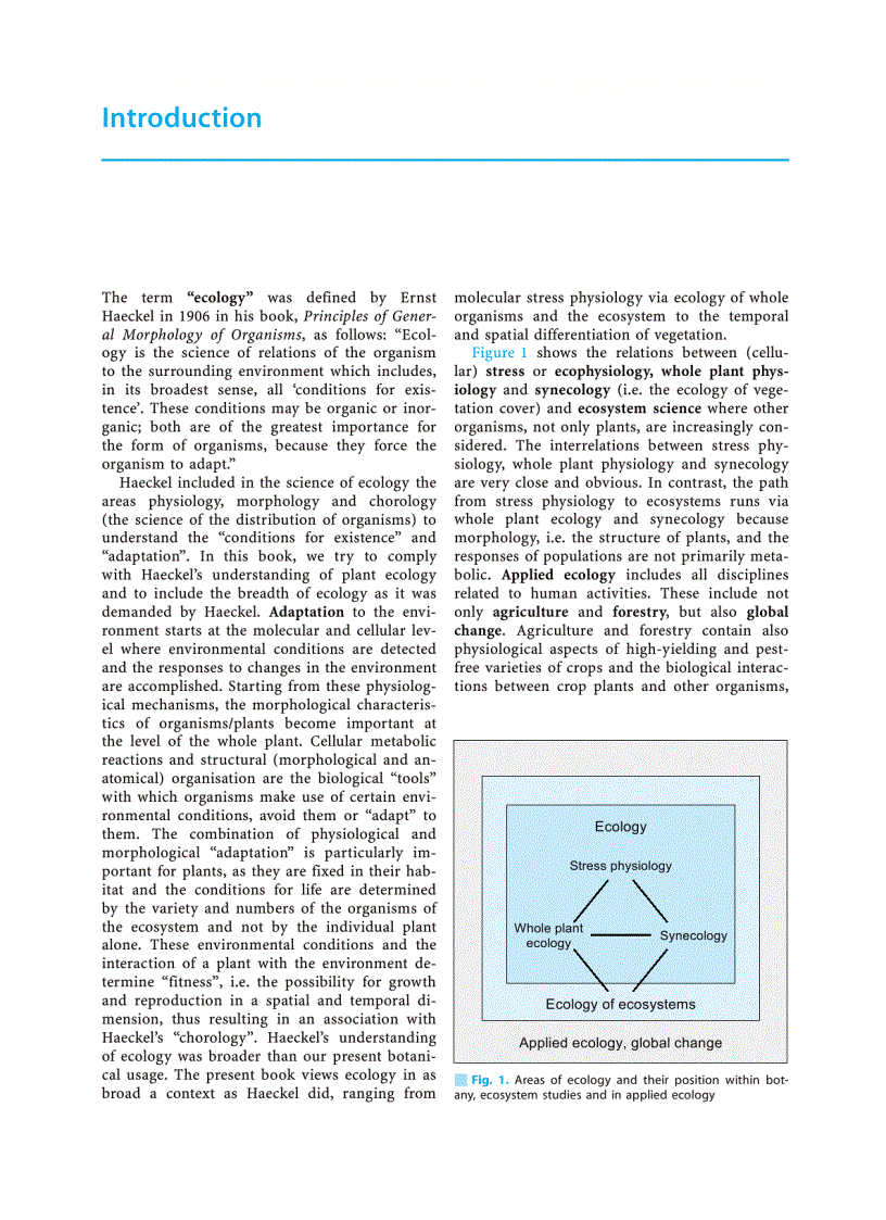 image for page Plant Ecology