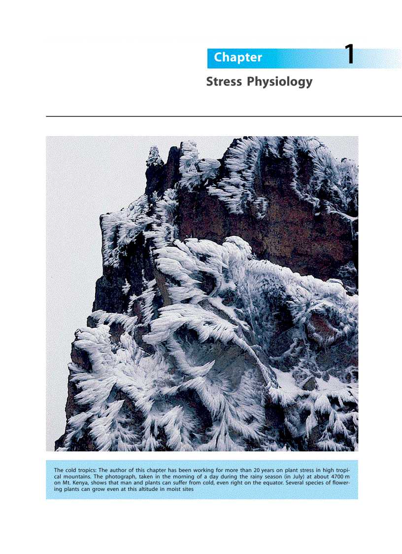 image for page Plant Ecology