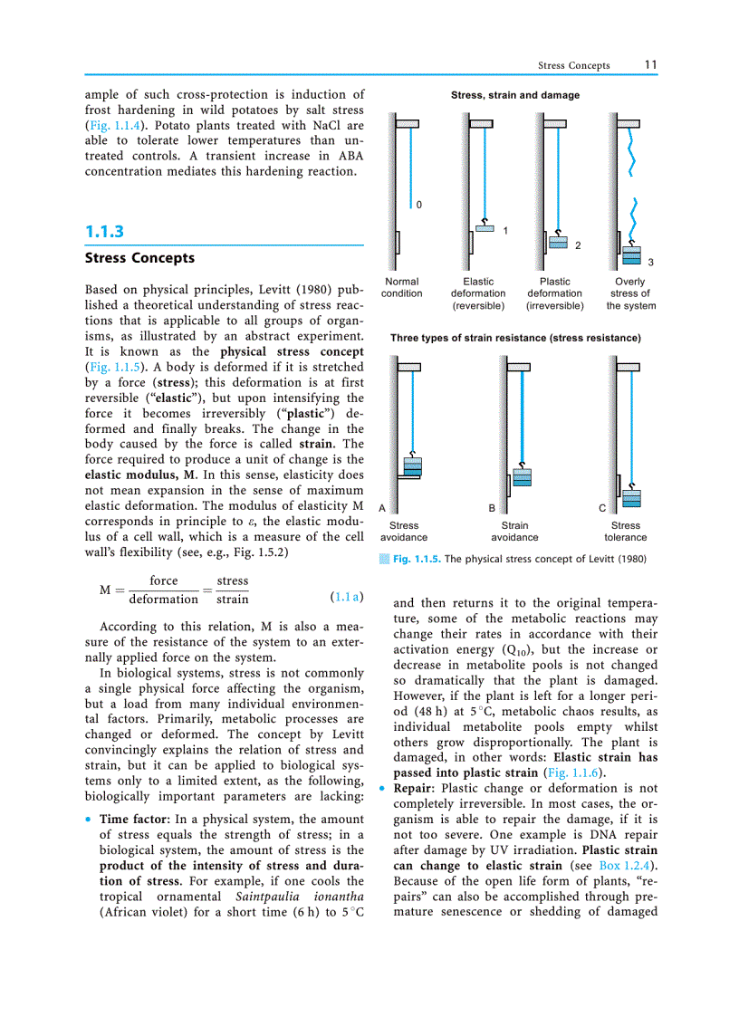 image for page Plant Ecology