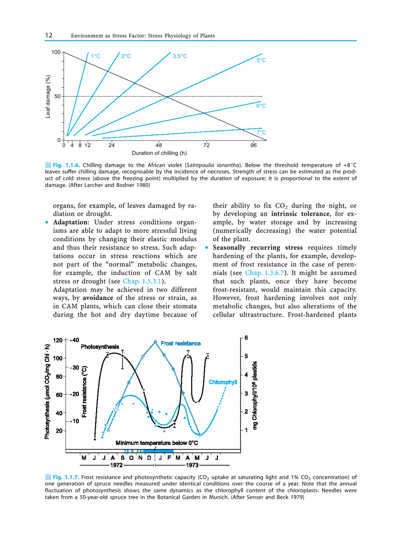 image for page Plant Ecology