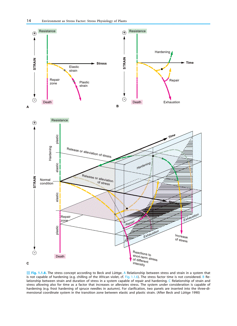 image for page Plant Ecology