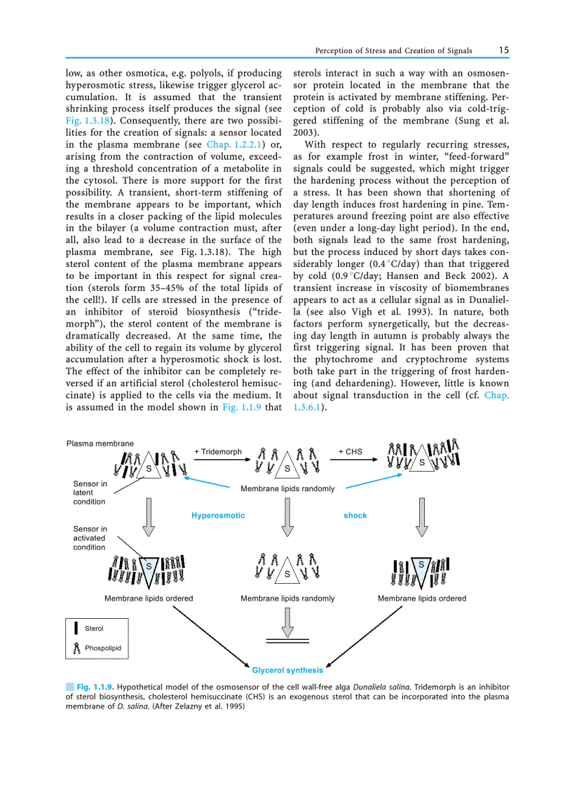 image for page Plant Ecology