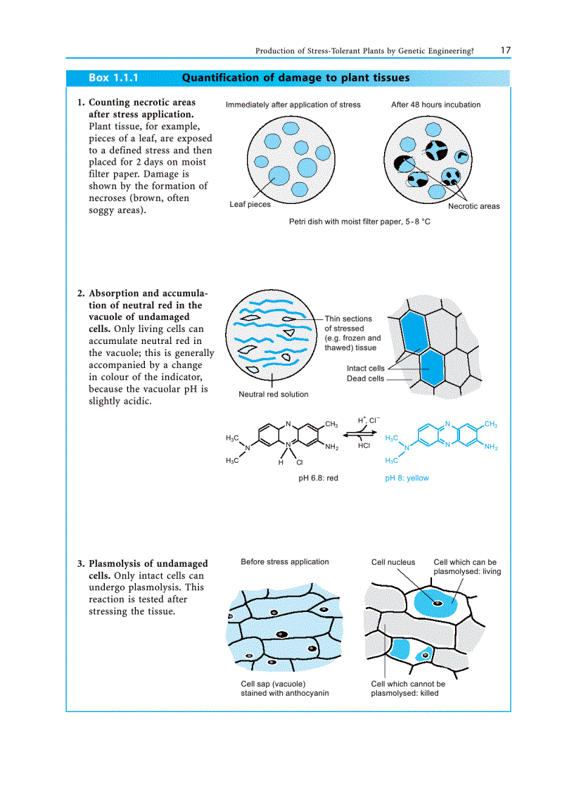 image for page Plant Ecology