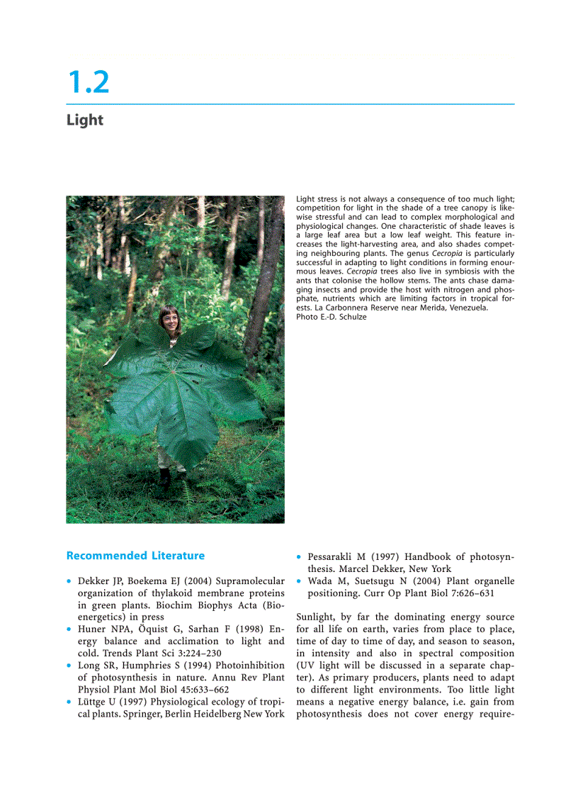 image for page Plant Ecology