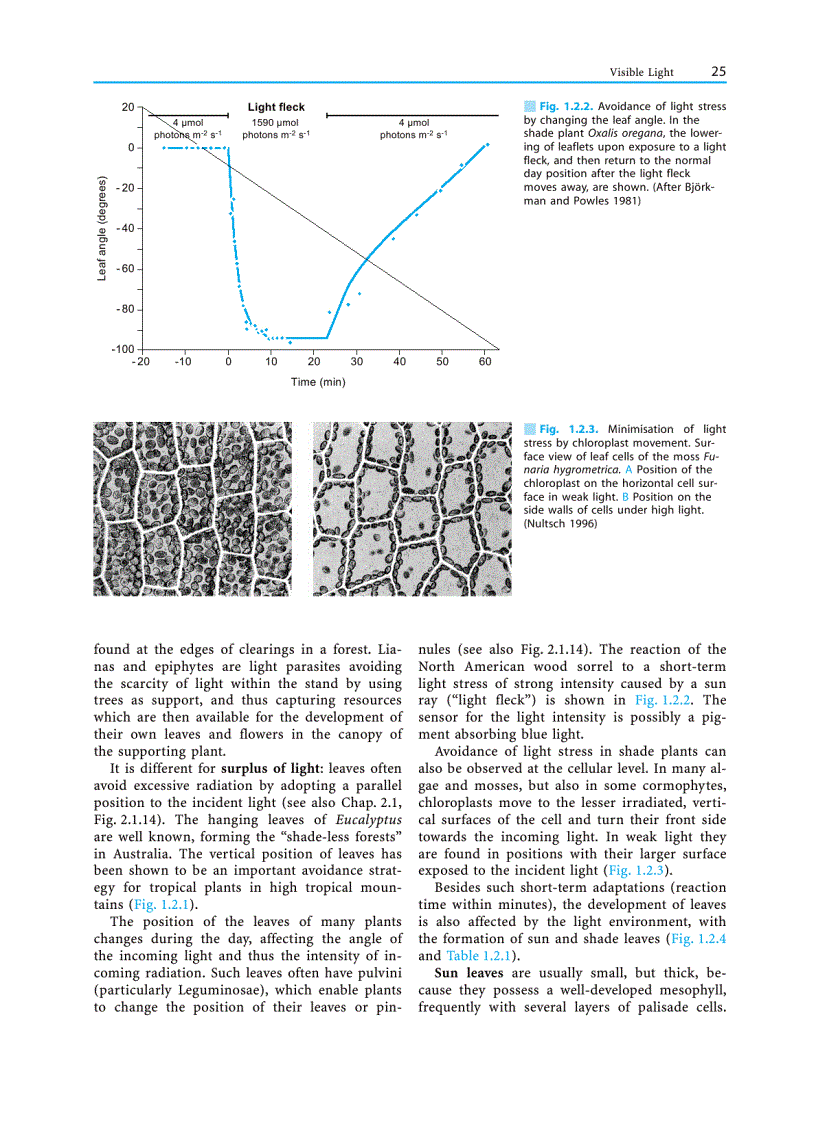 image for page Plant Ecology