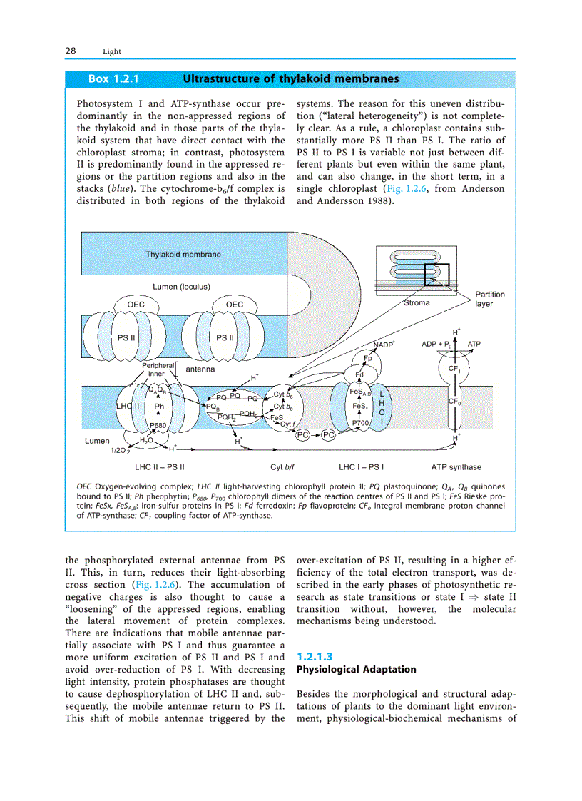 image for page Plant Ecology