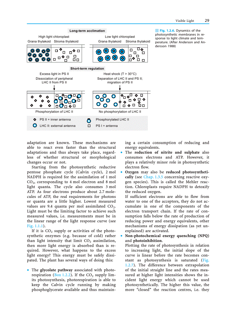 image for page Plant Ecology