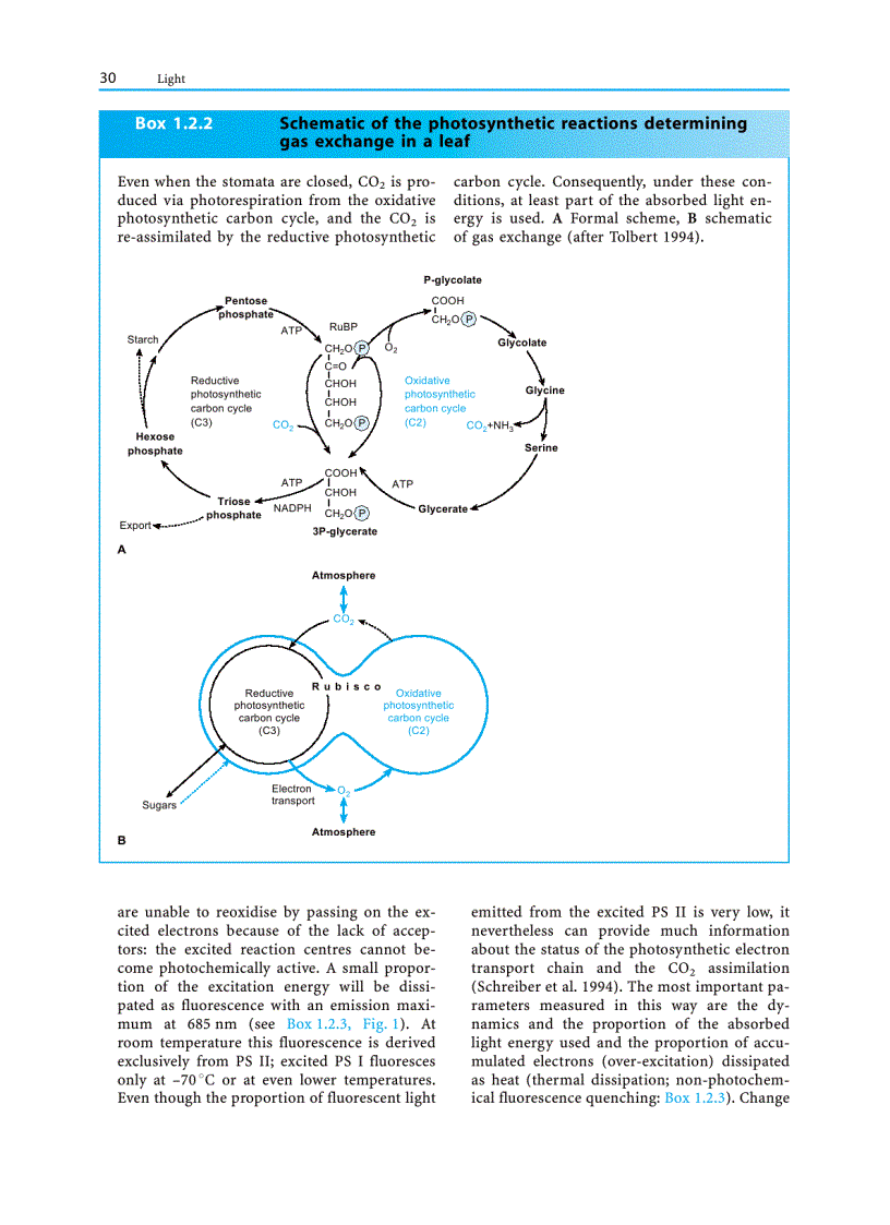 image for page Plant Ecology