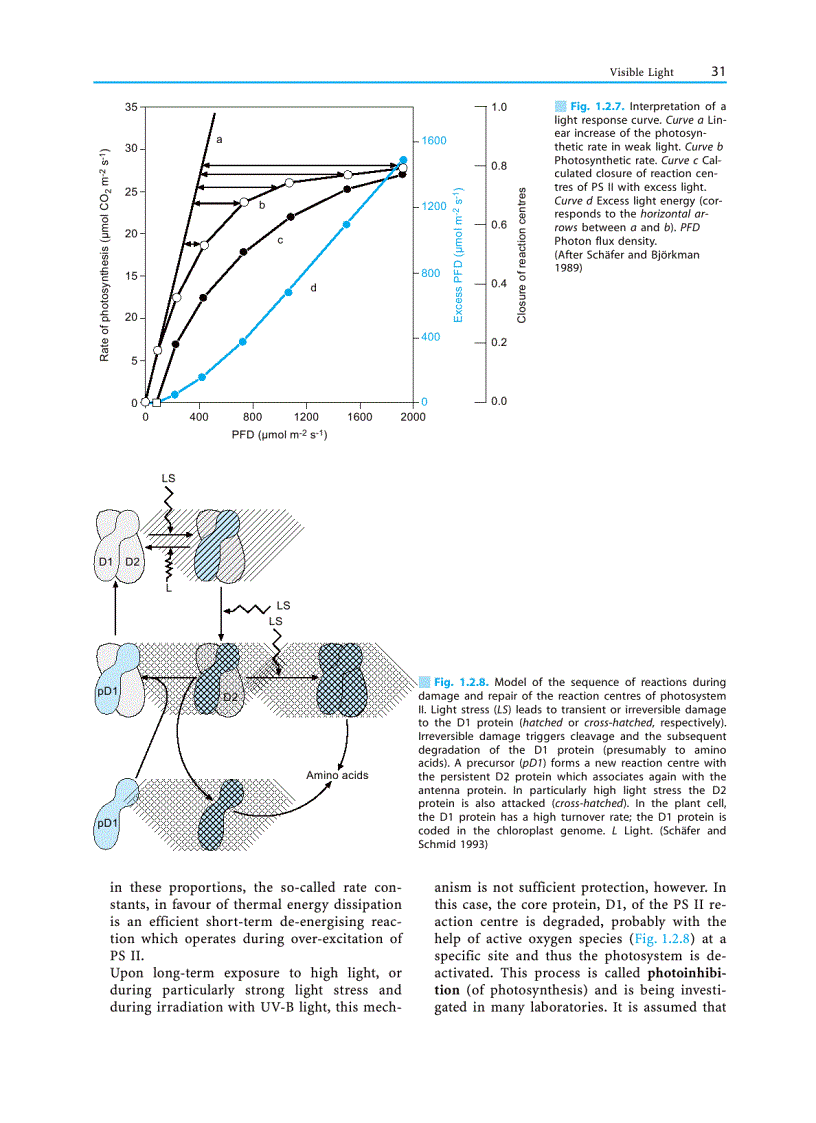 image for page Plant Ecology