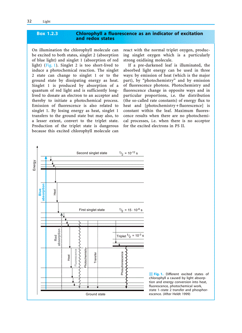 image for page Plant Ecology