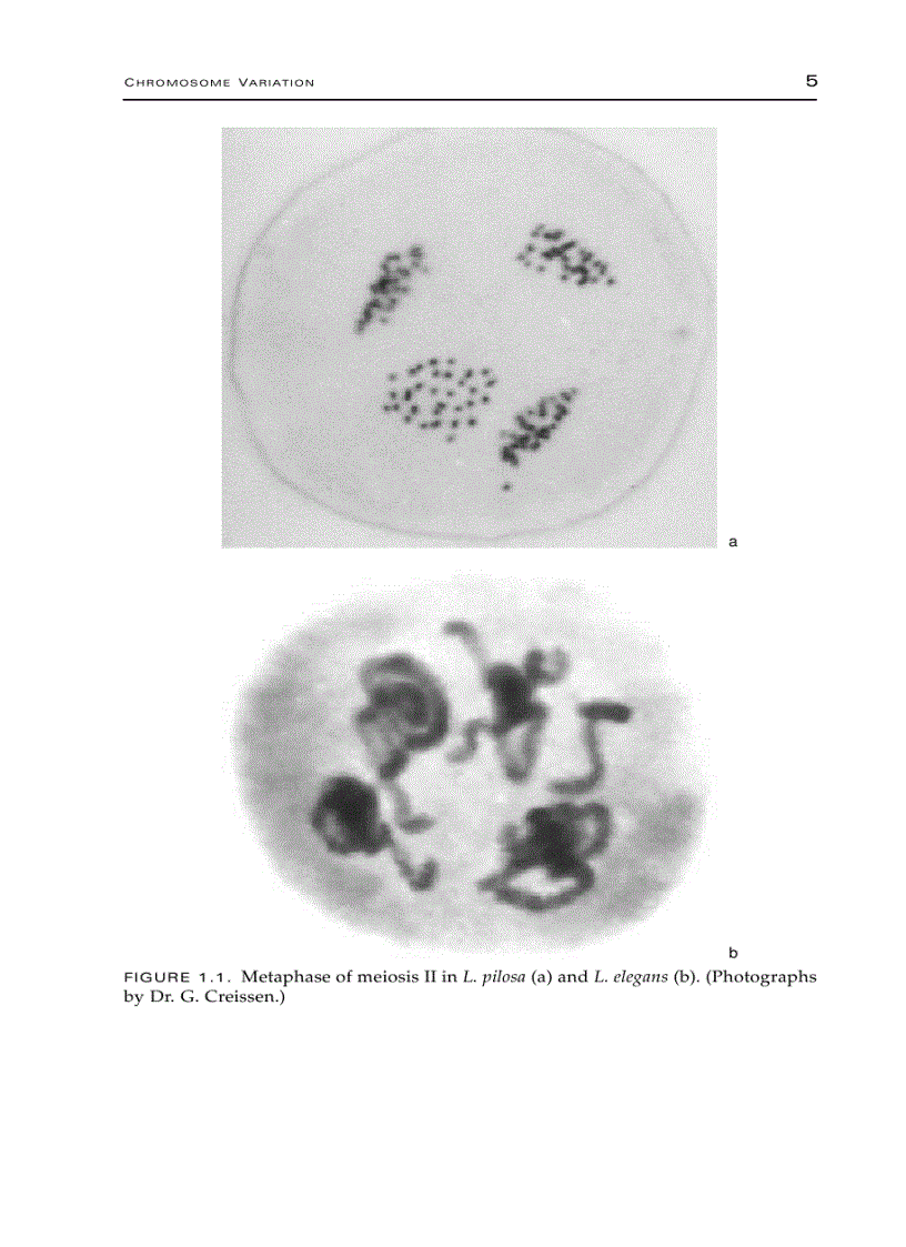 image for page Plant Genomics and Proteomics