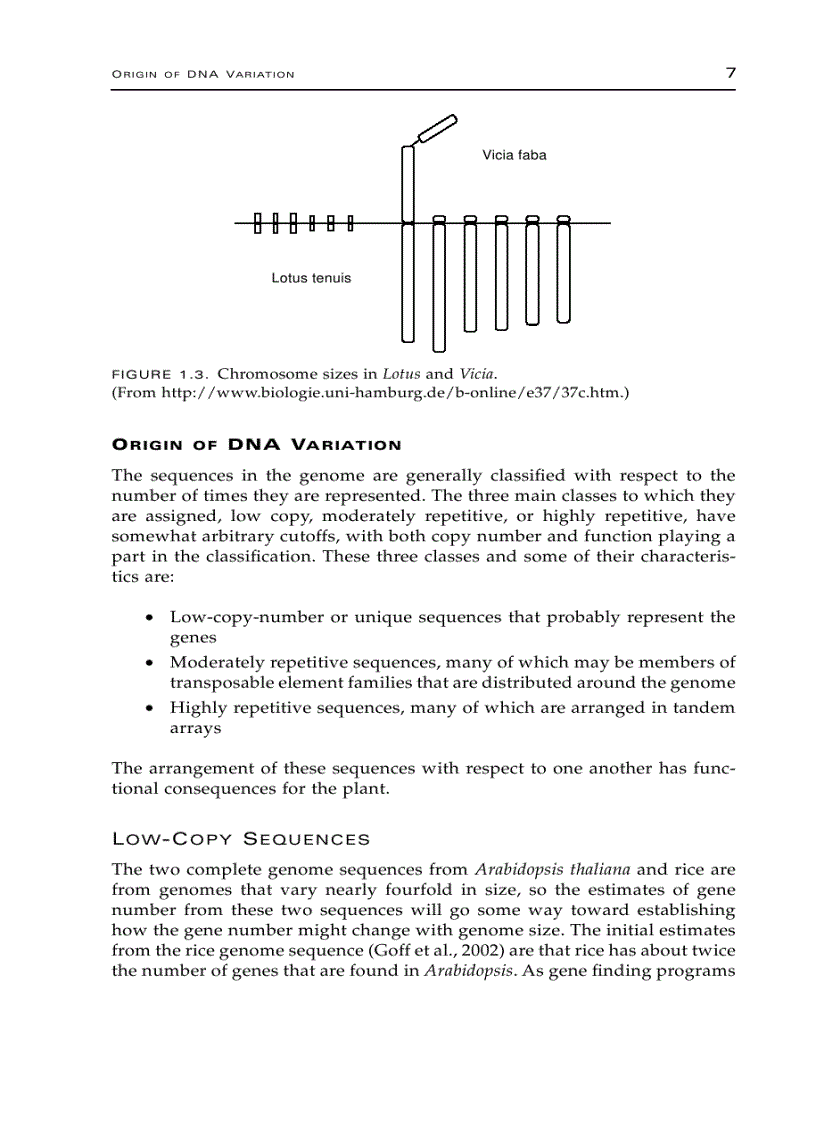 image for page Plant Genomics and Proteomics
