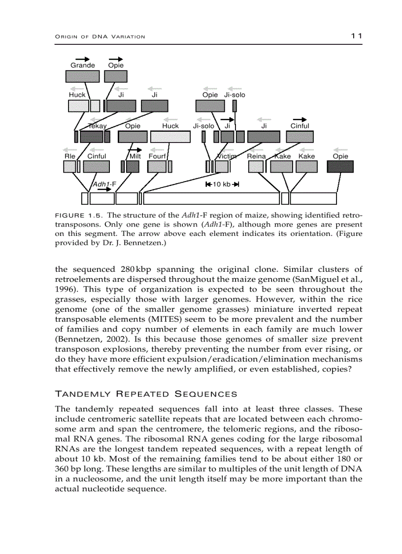 image for page Plant Genomics and Proteomics