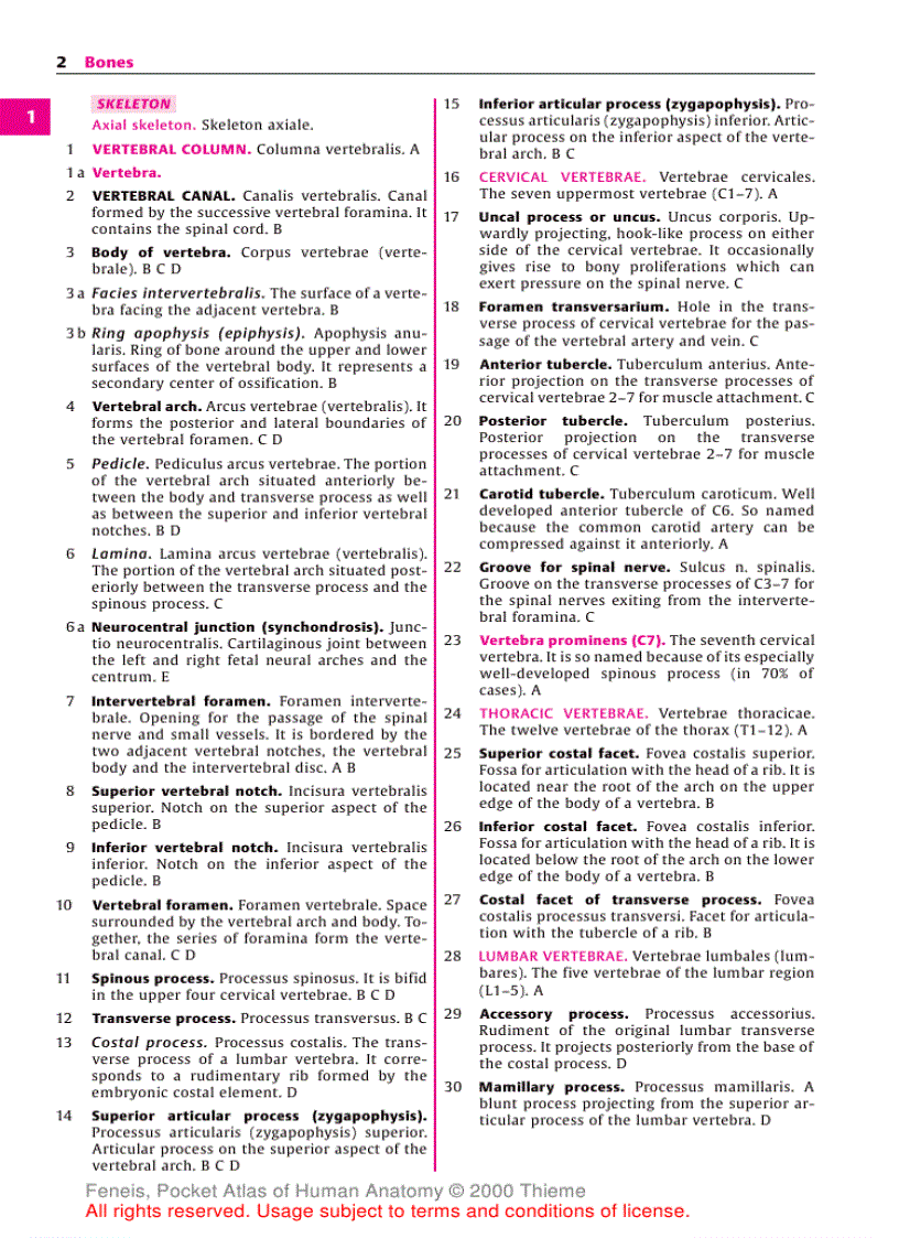 image for page Pocket Atlas of Human Anatomy Based on the International Nomenclature